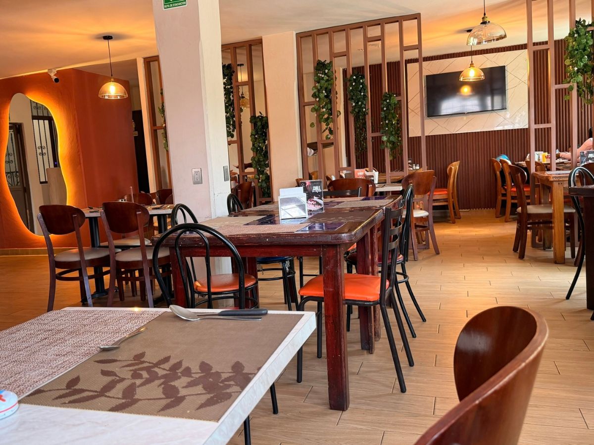 Comedor principal de El Yoyo con mesas de madera y plantas colgantes